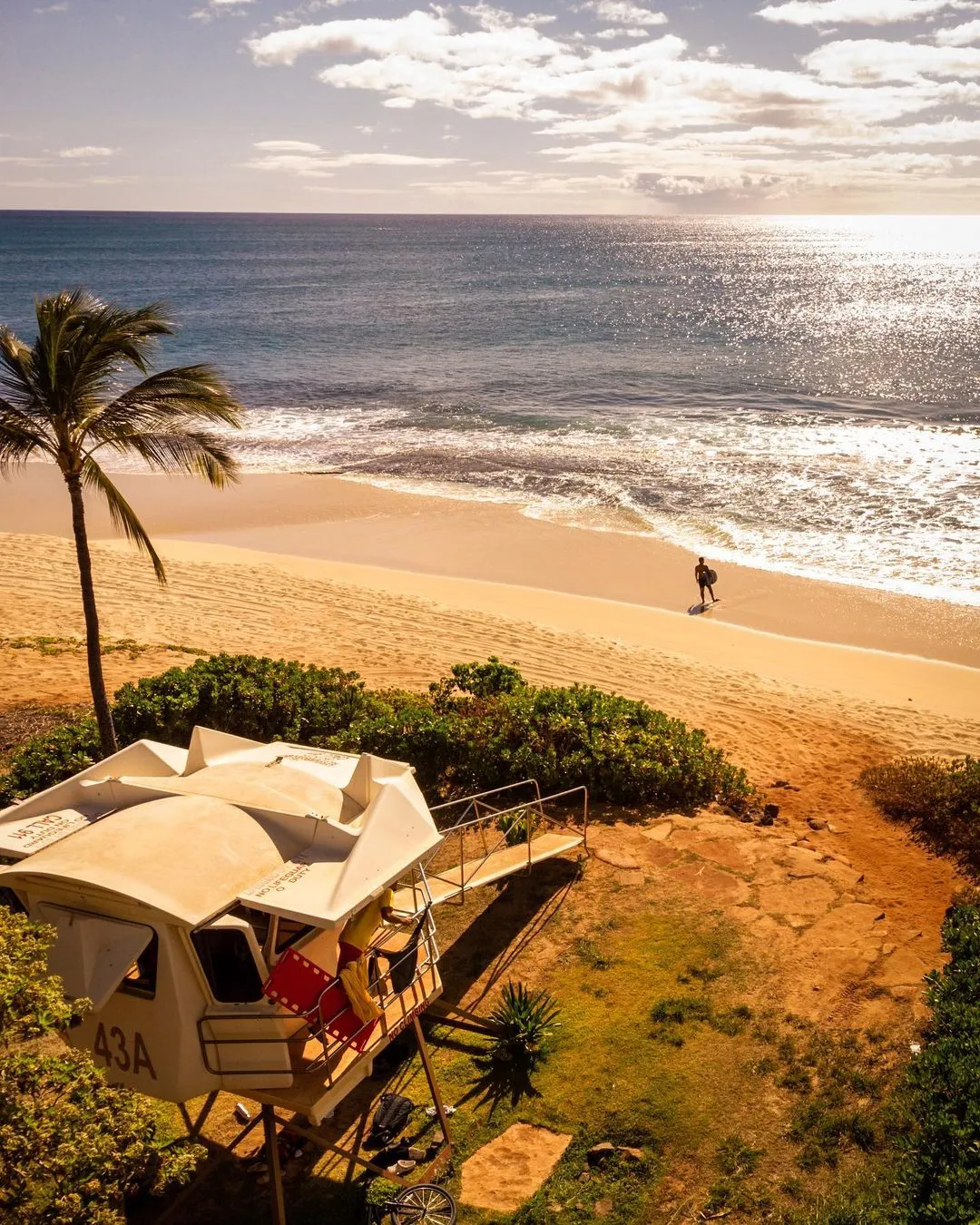 4019 hawaii transportation deals
