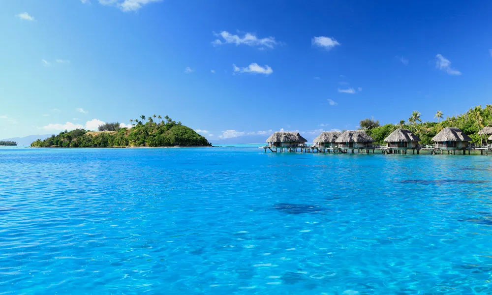 /img/4026-tahiti-packing.webp