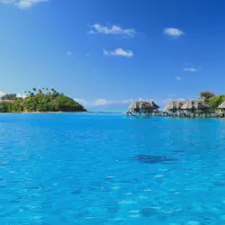 /img/4026-tahiti-packing.webp