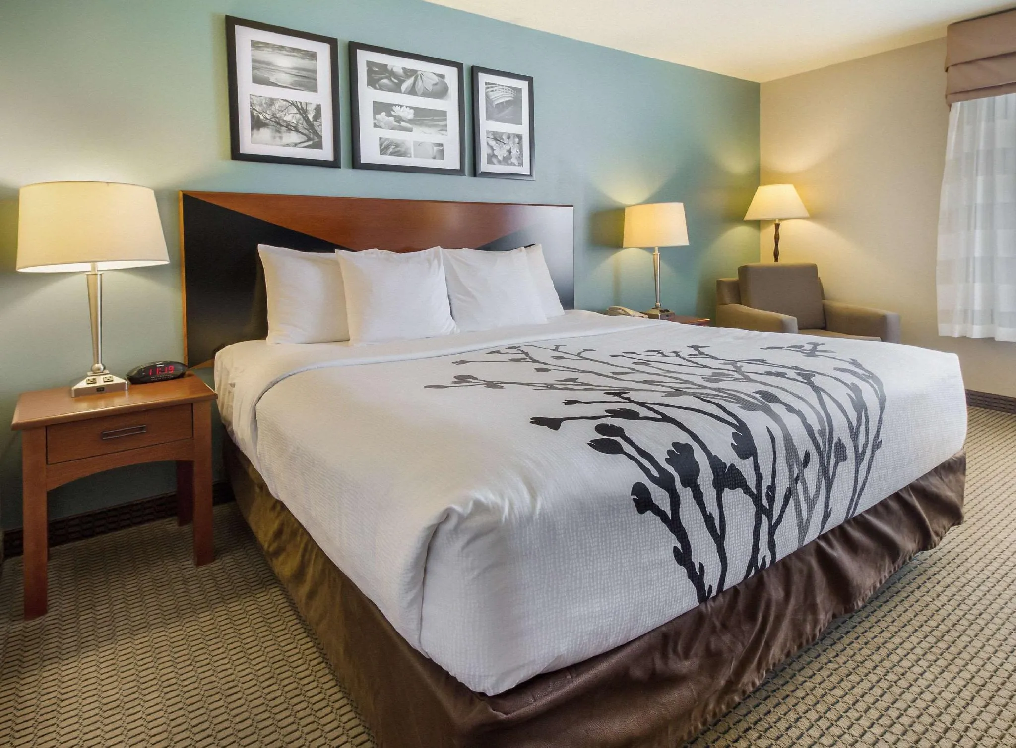 4034 couple in suite