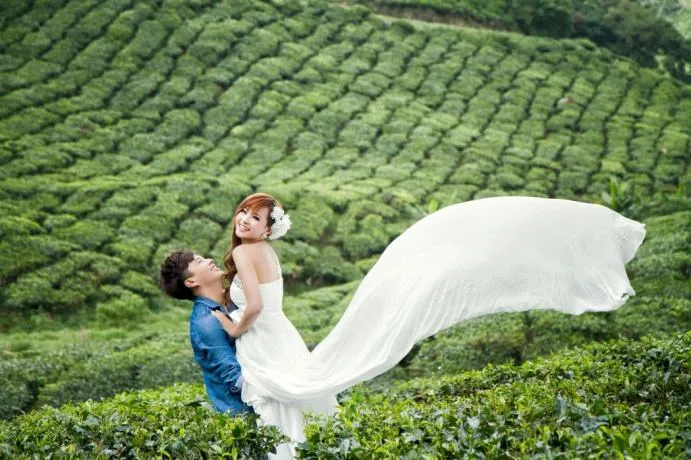 4086 ooty mysore honeymoon package