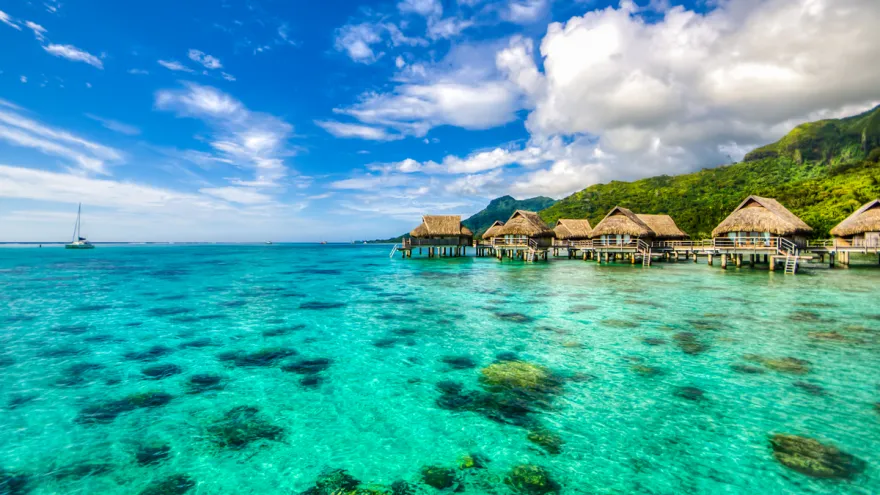 4152 beach honeymoon