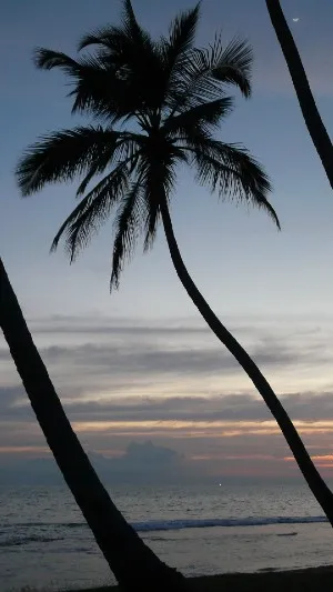 /img/4155-couple-srilanka.webp