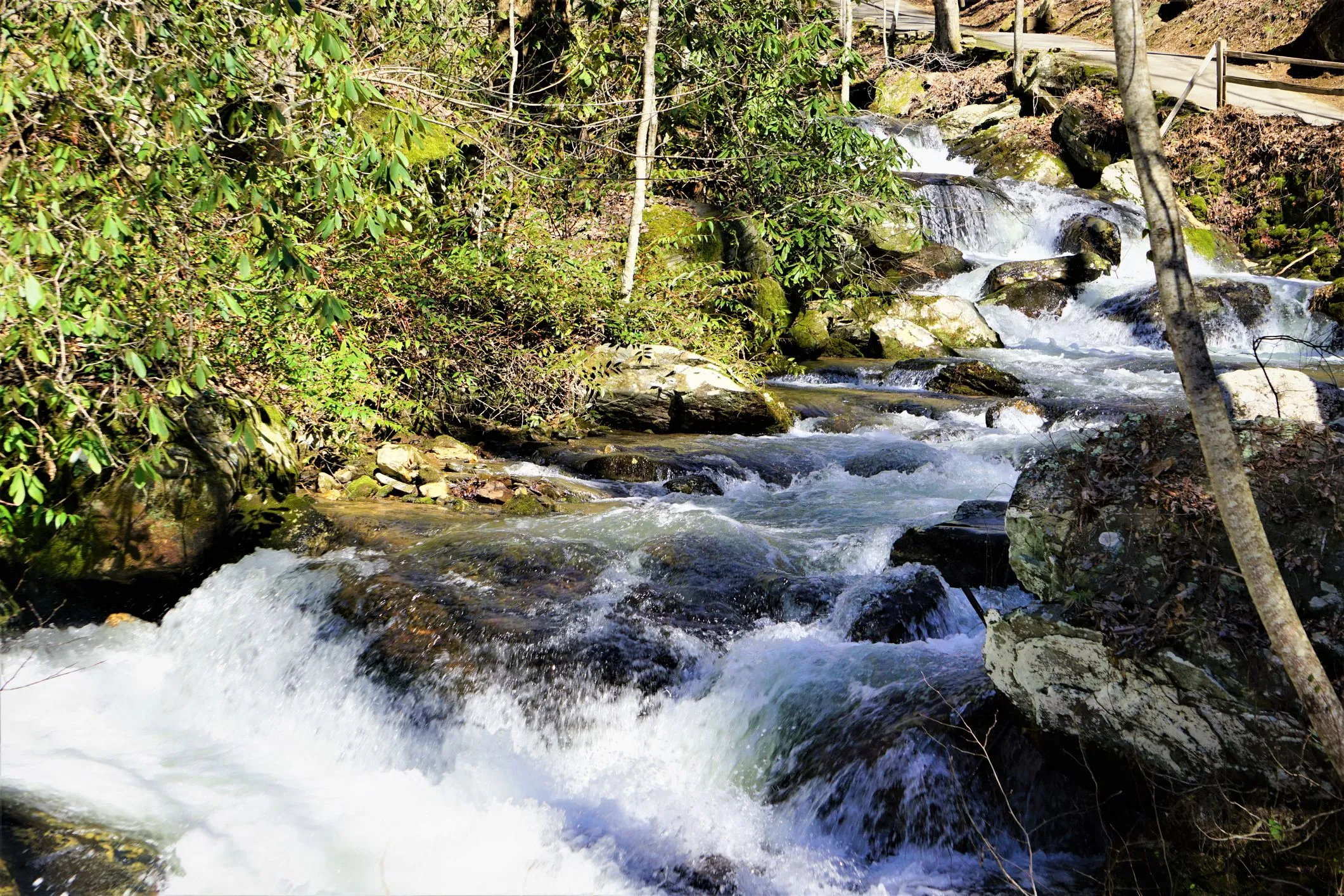 /img/4234-helen-ga-honeymoon-restaurant.webp