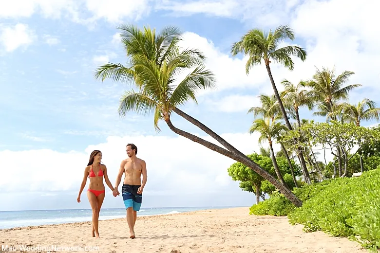 4236 maui honeymoon activities