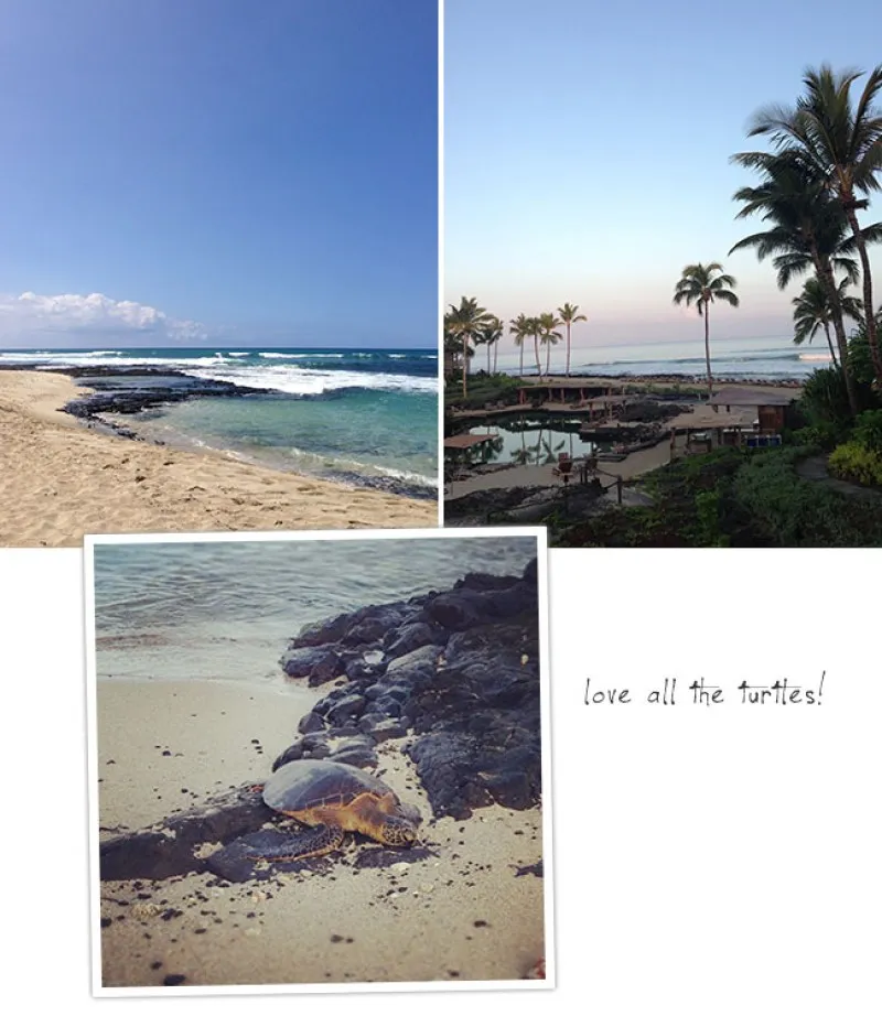 /img/4241-big-island-honeymoon-beach-cocktails.webp