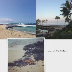 /img/4241-big-island-honeymoon-beach-cocktails.webp