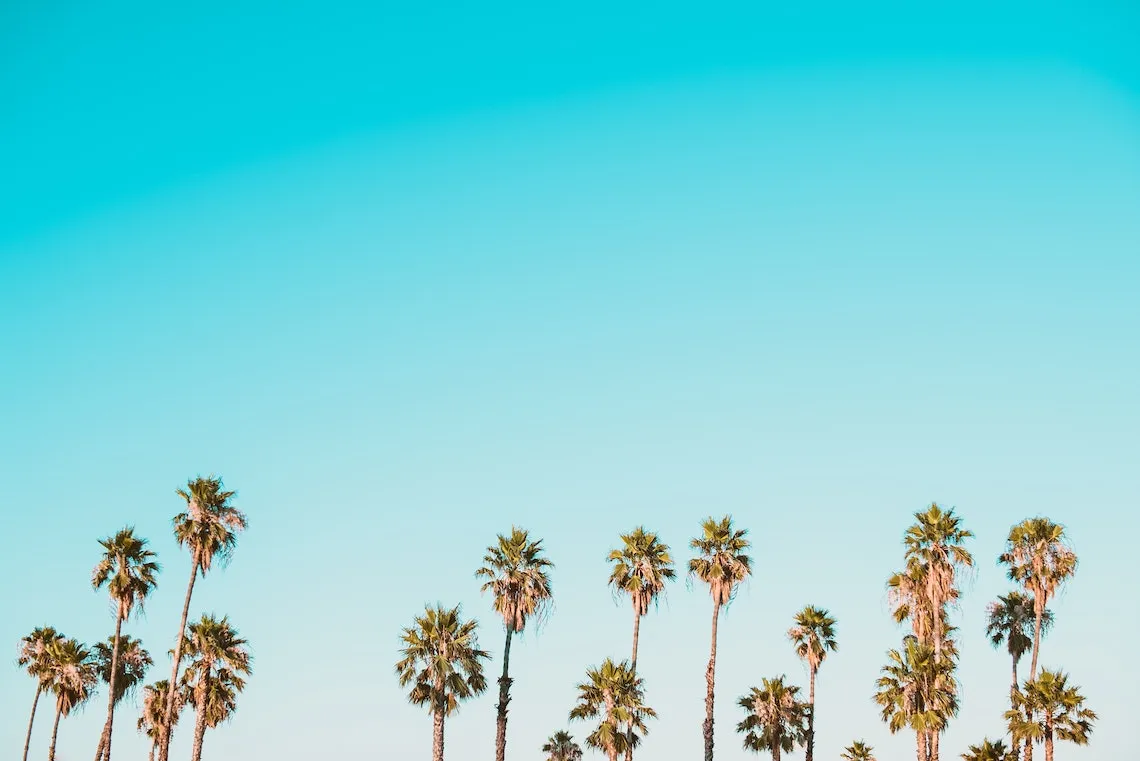 4284 coronado beach