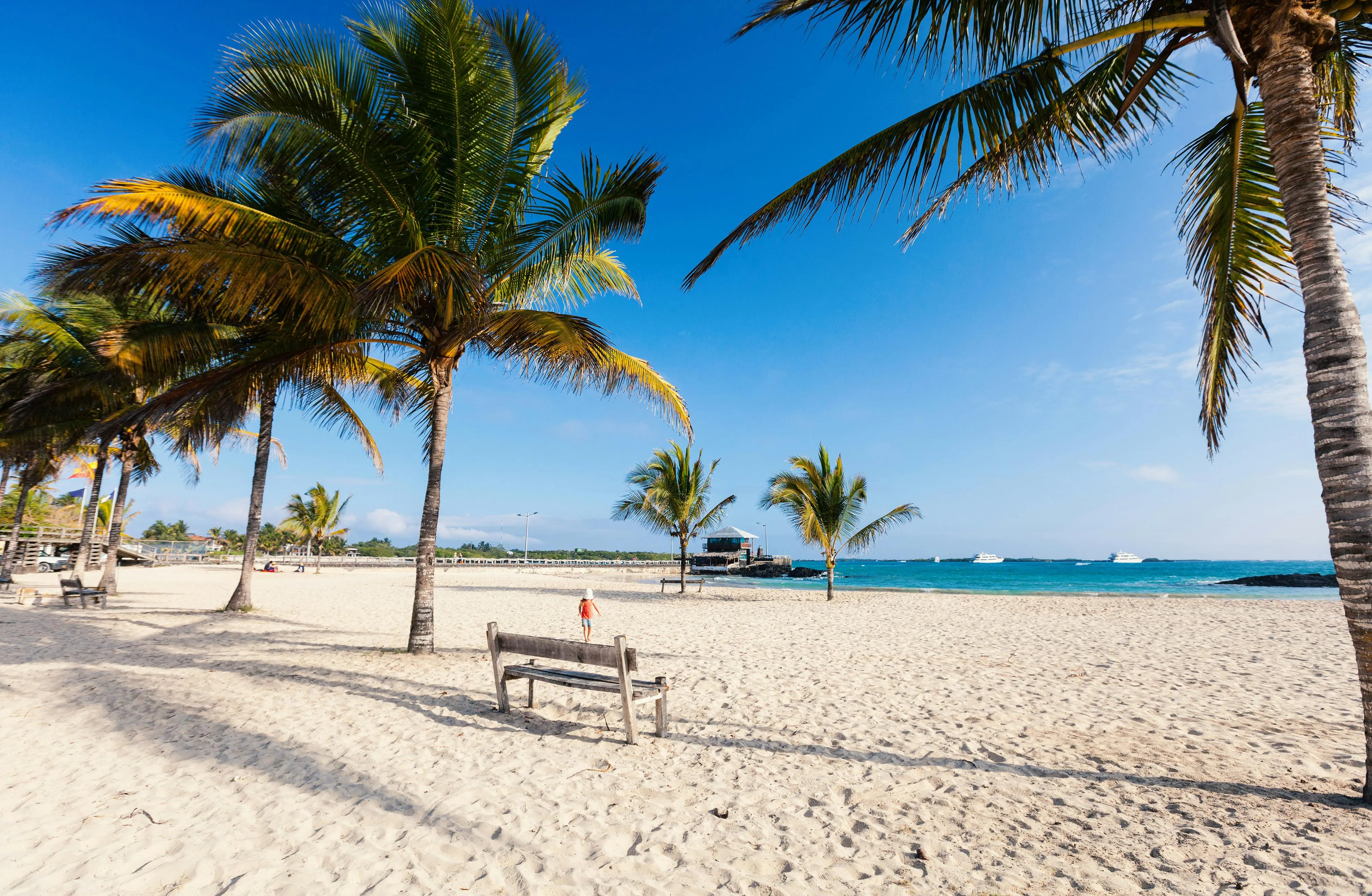 /img/4285-honeymoon-island-isabela-packing.webp