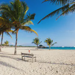 /img/4285-honeymoon-island-isabela-packing.webp