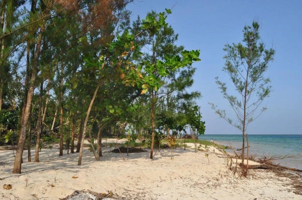 4285 honeymoon island isabela snorkeling