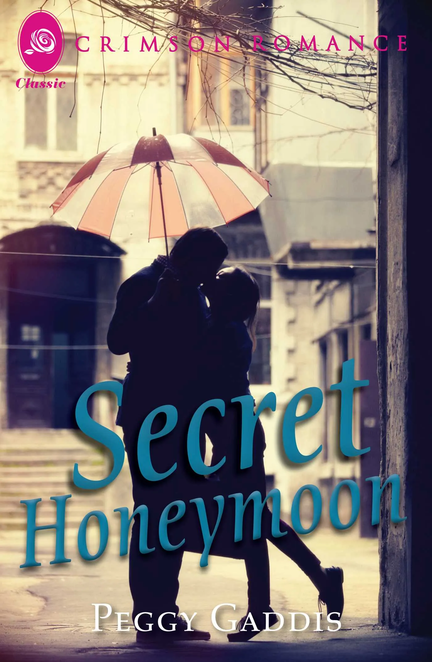 4289 secret honeymoon surprise