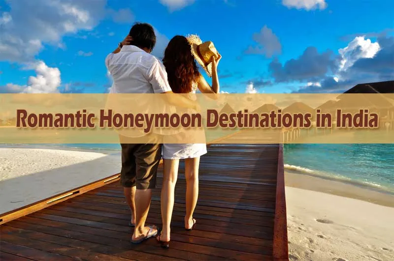 4290 rajasthan honeymoon