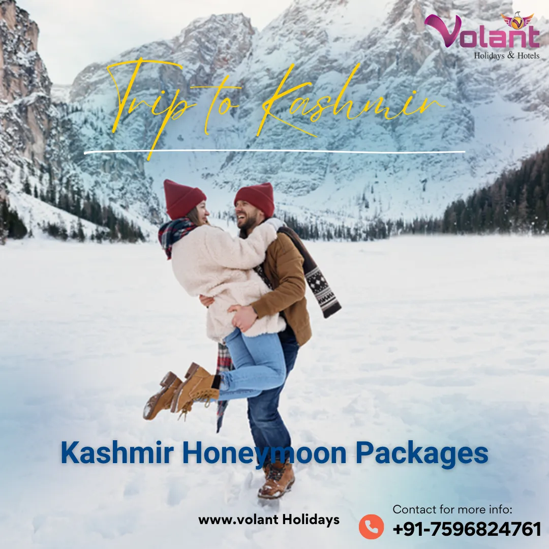 4343 kashmir honeymoon packages