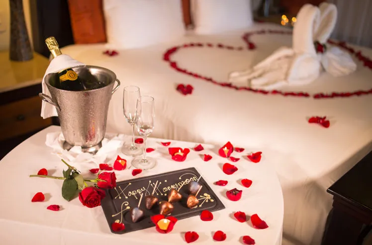 4381 honeymoon night attire