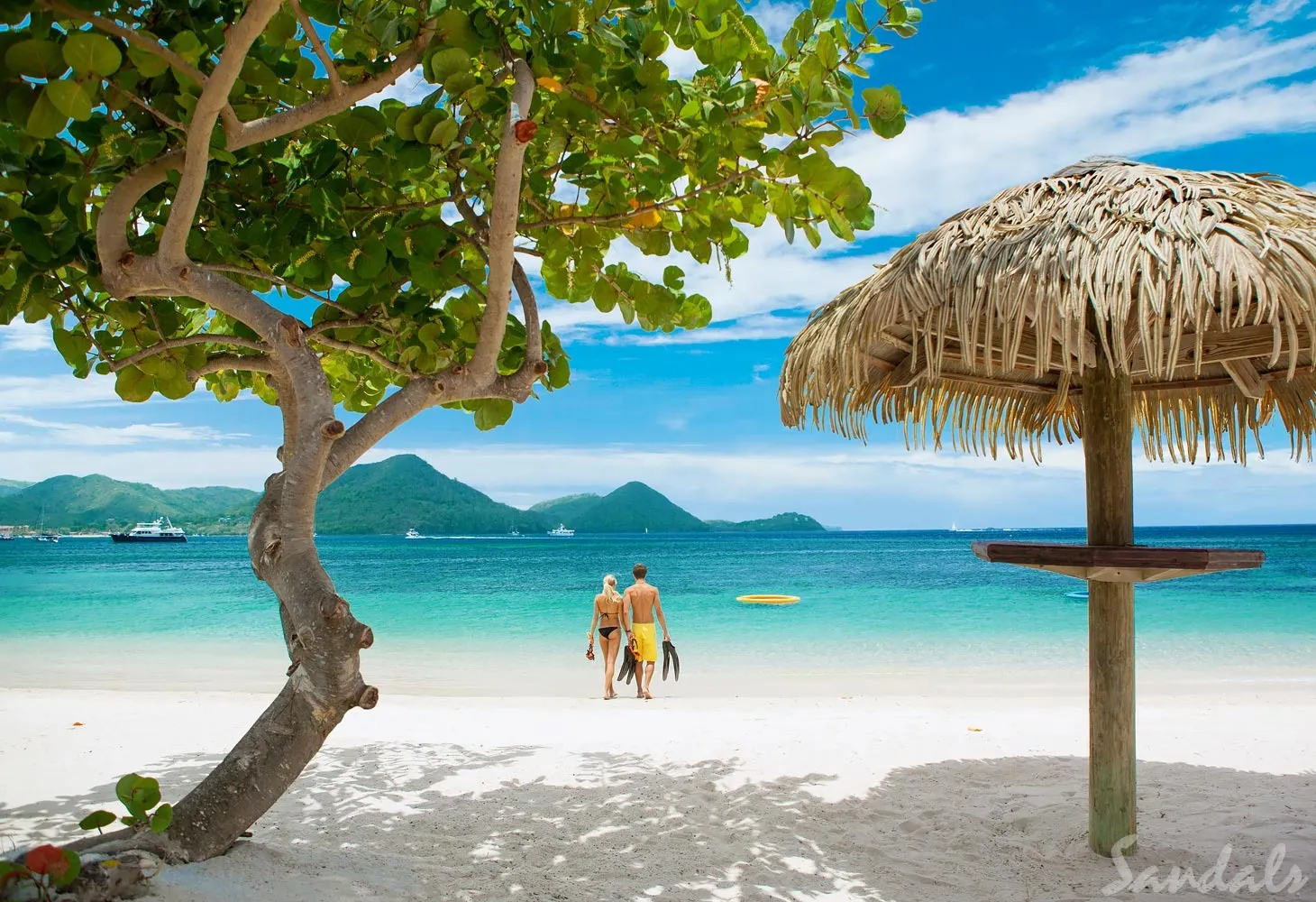 4388 caribbean honeymoon resort overview