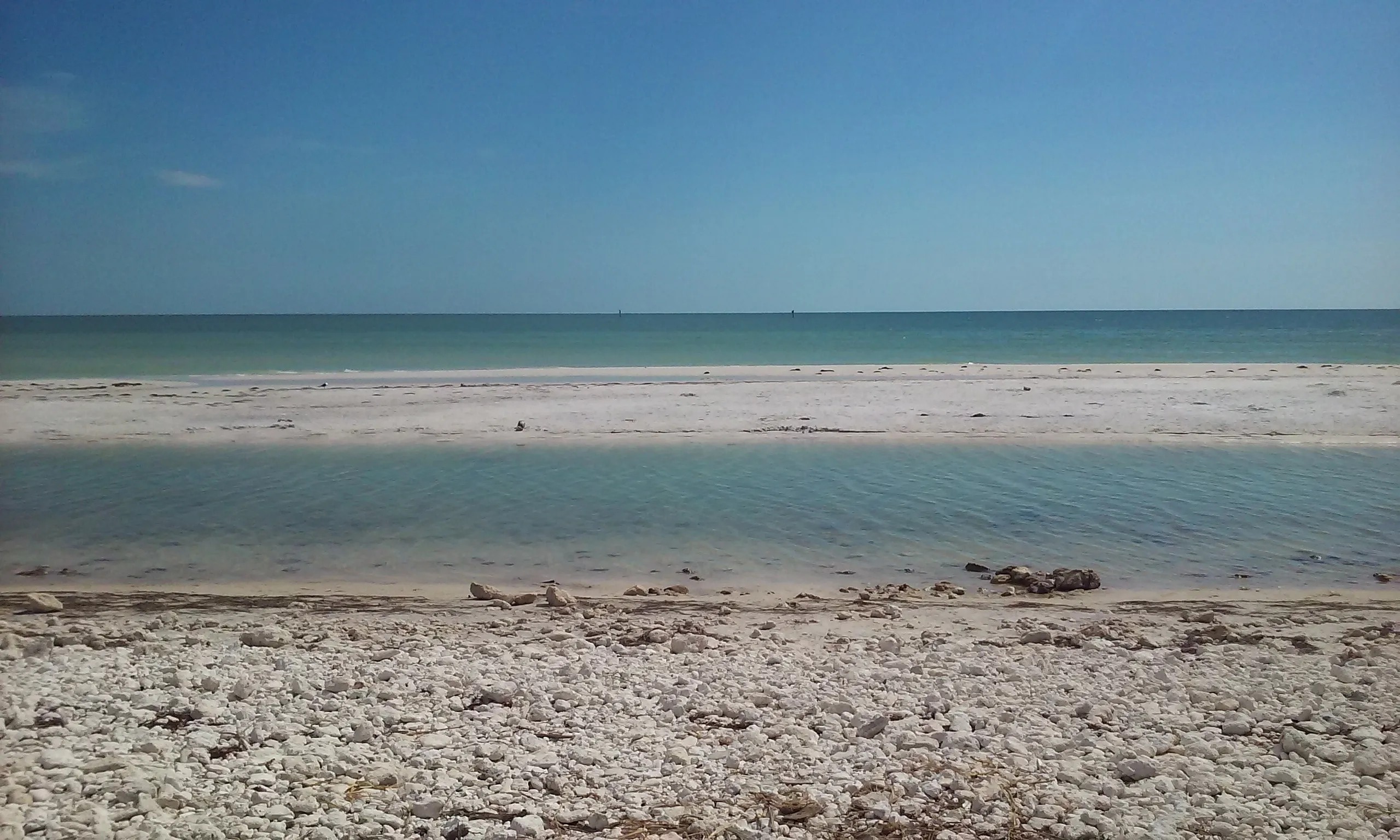 4393 dog and owner relaxing beach