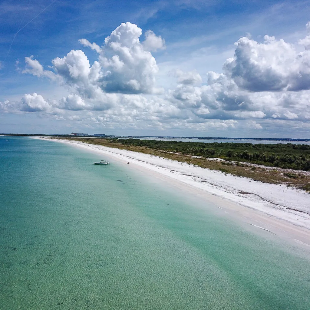 4393 dog walking nature trail honeymoon island