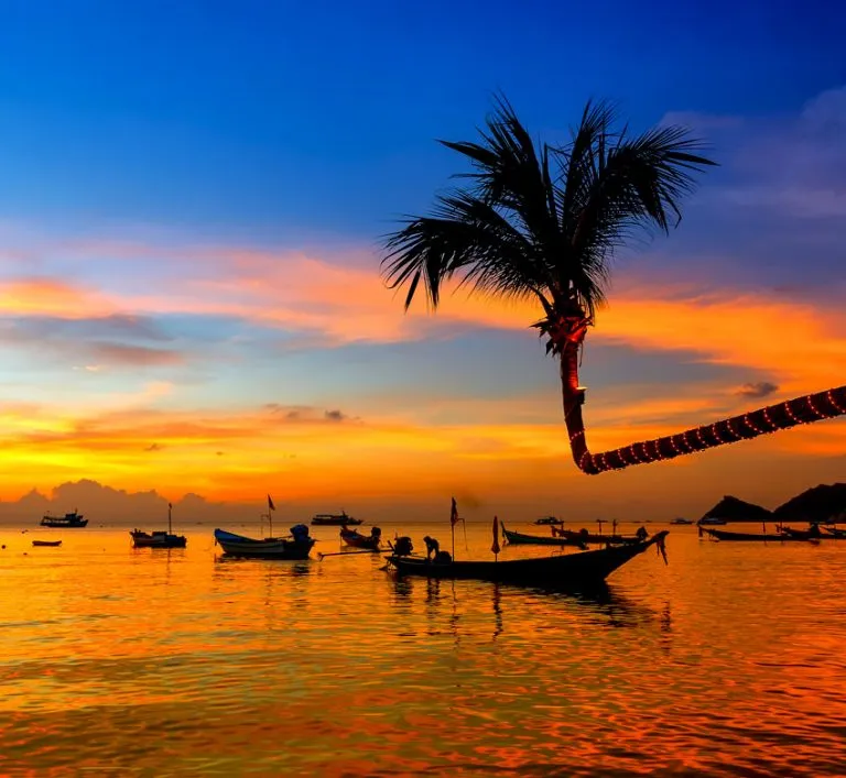 4400 honeymoon planning
