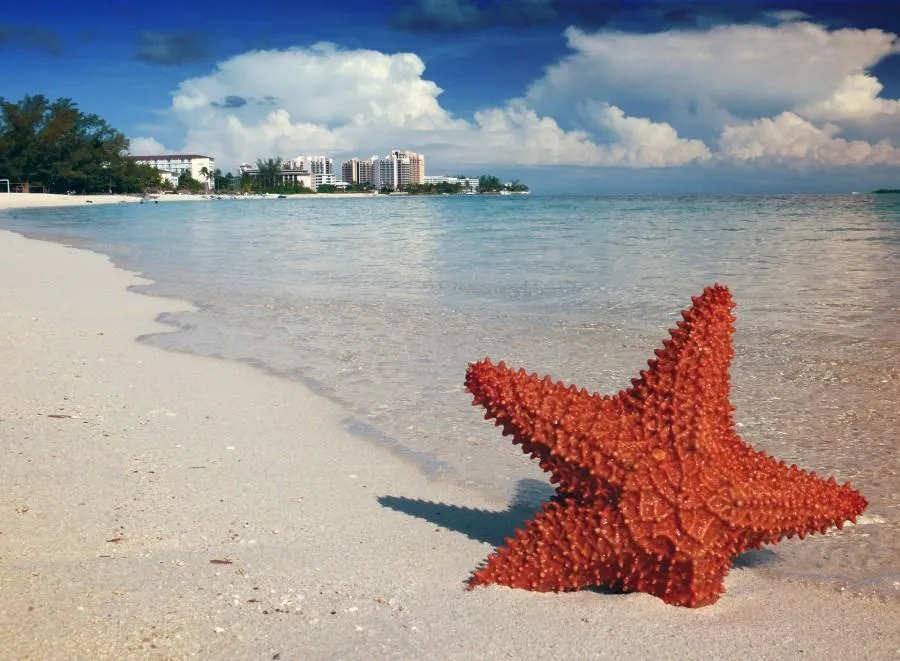 /img/4417-beach-honeymoon.webp