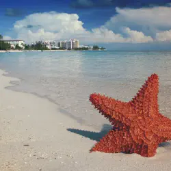 /img/4417-beach-honeymoon.webp
