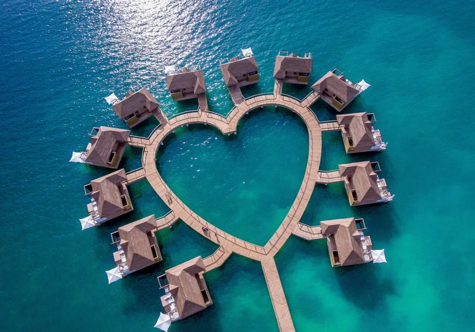 4428 honeymoon agent dream trip image2