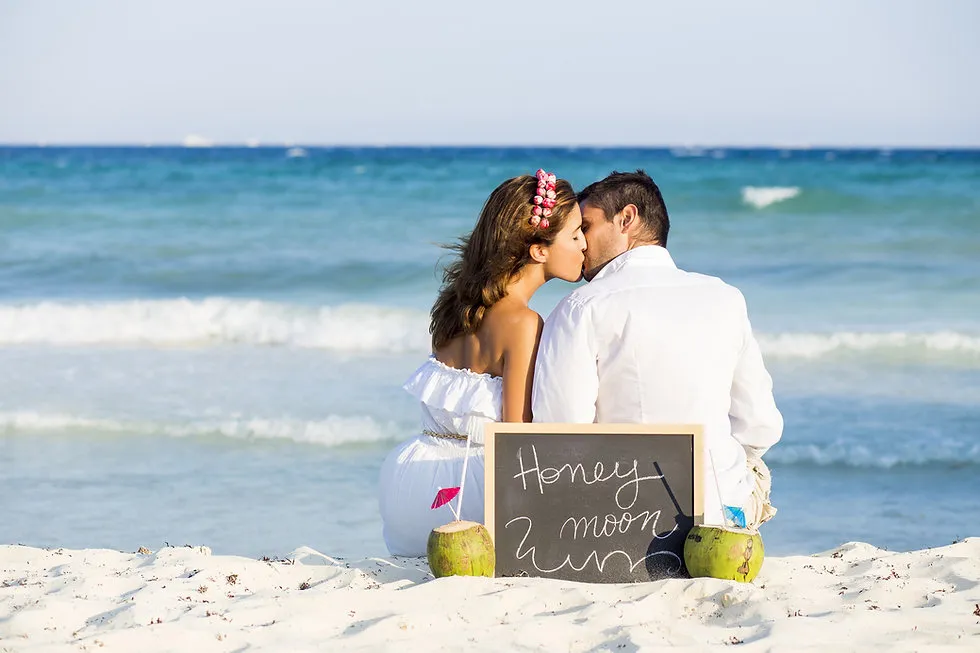4428 honeymoon agent dream trip image3