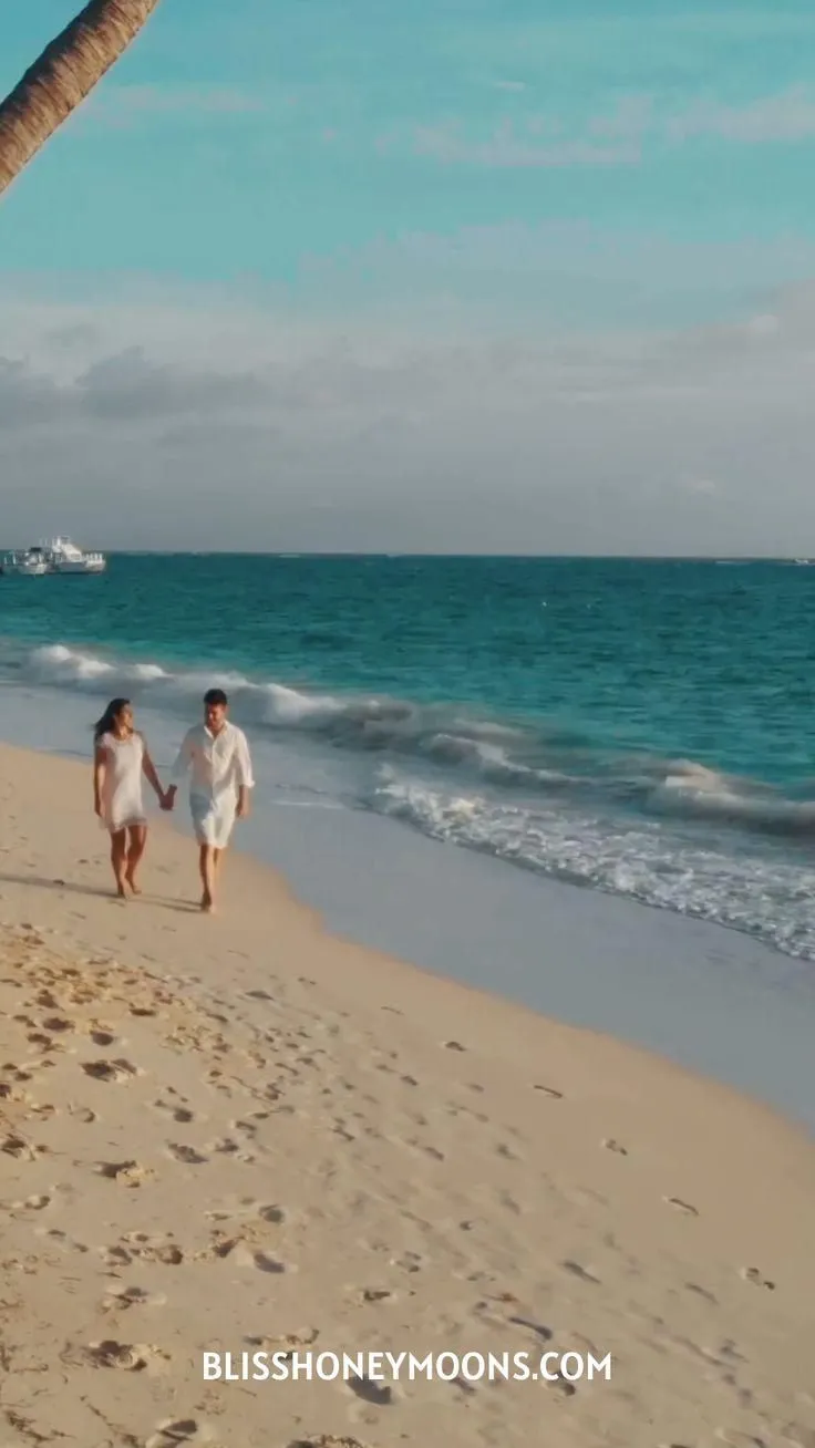 4428 honeymoon agent dream trip image6