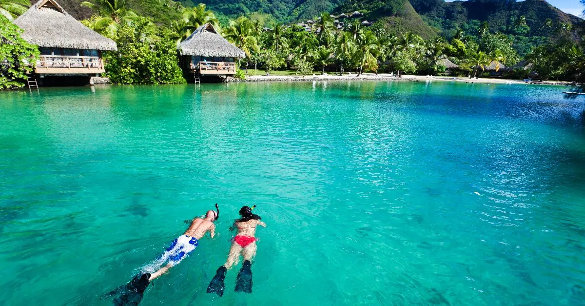 4428 honeymoon agent dream trip image7