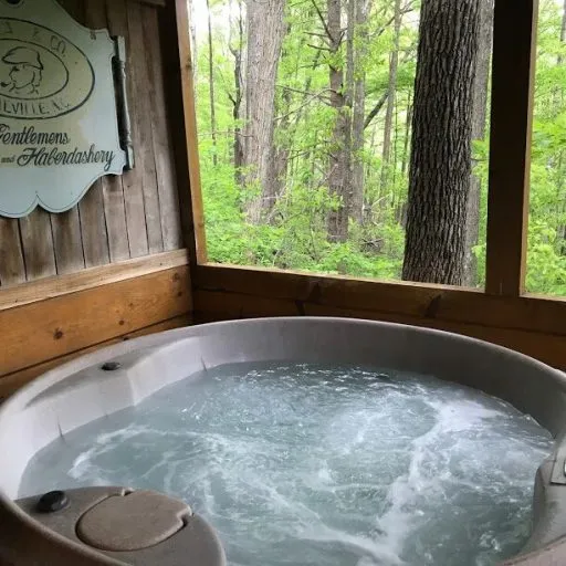 4433 luxurious resort asheville