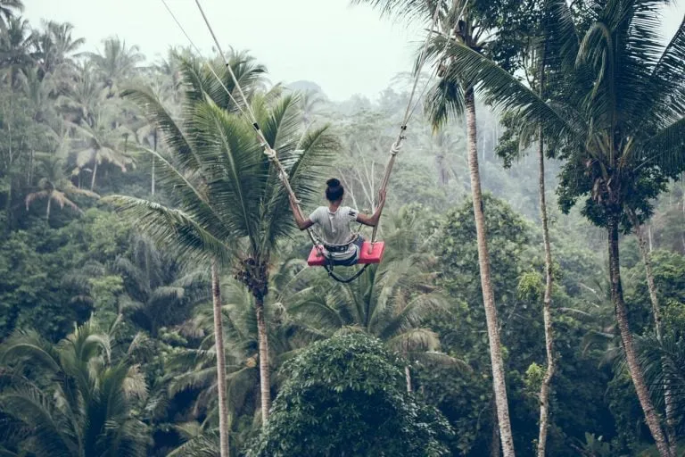 4452 ubud rice terraces