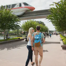/img/4455-disney-honeymoon-celebration.webp